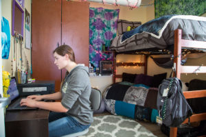 Sheridan College Student Housing Stevens Loft Ashley in room 2