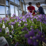 Gain hands on experience in Horticulture at Sheridan College.