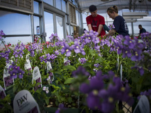 Gain hands on experience in Horticulture at Sheridan College.