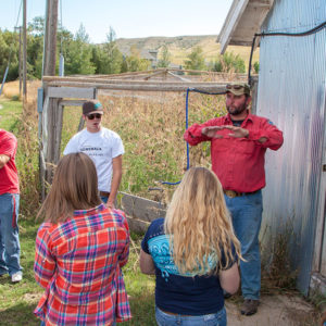 Gain hands on experience with the Animal Science program at Sheridan College.