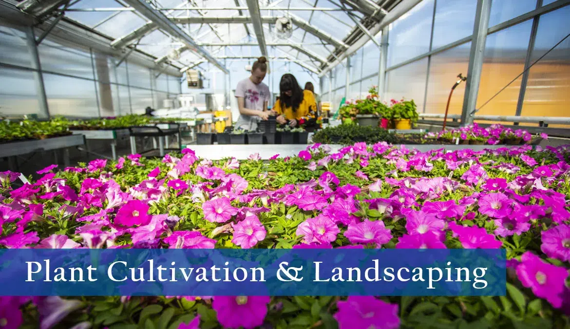 Sheridan College Plant Cultivation and Landscaping program header image