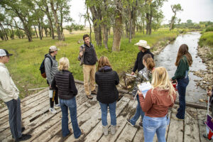 Biology Field Trip