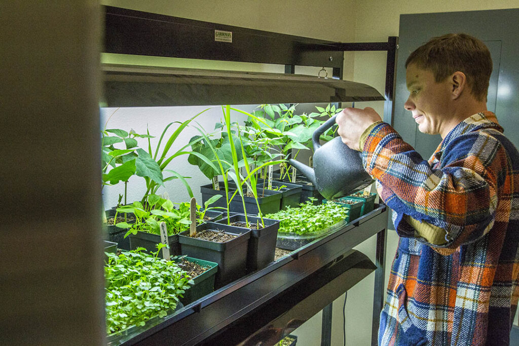 Student watering plants in the herbarium at Sheridan College
