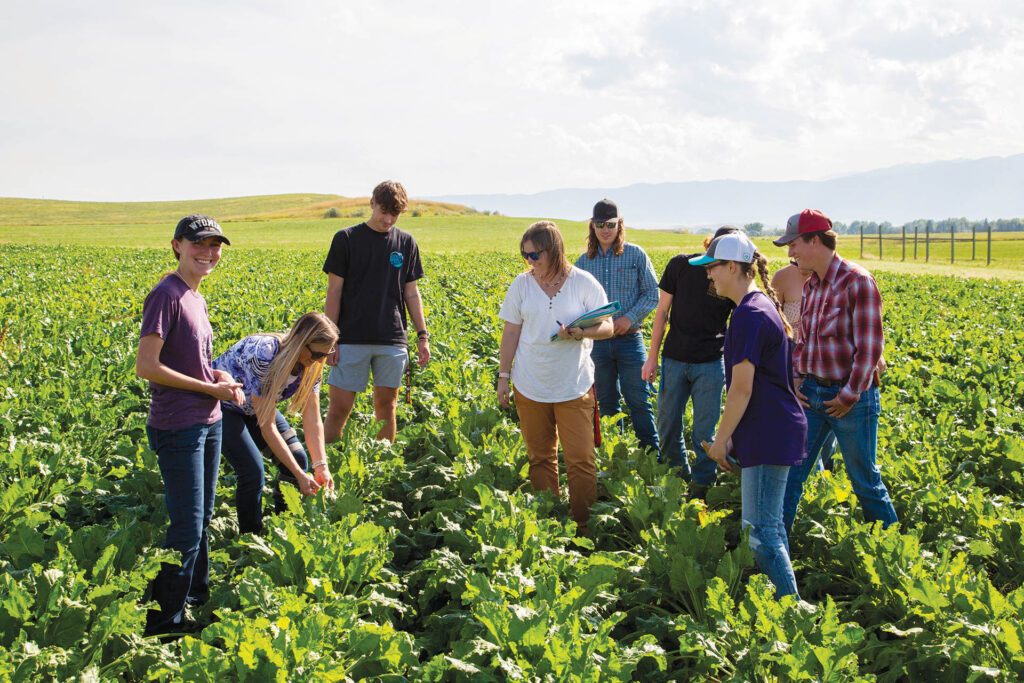 Students in a field with row crops as the instructor holds up something for them to look at, mountains in the background