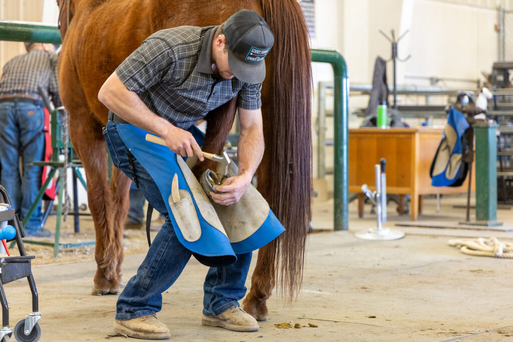 Sheridan College Farrier student in class.